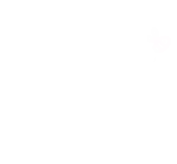 flying bee